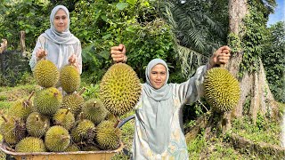 KUTIP DURIAN BATU KURAU DI KEBUN BAPAK 😍POKOK DURIAN RATUSAN TAHUN ❗️ [upl. by Nadean]