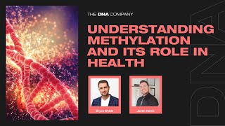 Understanding Methylation and Its Role in Health [upl. by Fisch406]