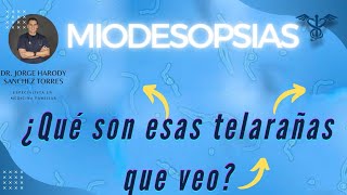 ¿Qué son laa Miodesopsias o moscas flotantes  ¿Cómo se ven las Miodesopsias [upl. by Carlos]