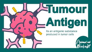 Tumour antigens  Tumour specific antigen  Tumourassociated antigen  Tumour immunity [upl. by Inal]