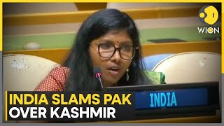 Indian Envoy Warns Pakistan Against Crossborder Terrorism at UNGA  Latest English News  WION [upl. by Eahc]