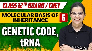 Molecular basis of Inheritance 06  Genetic Code  Class 12thCUET [upl. by Kcirred]