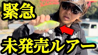 【バス釣り】全ての魚を釣り上げろ！現代バス釣りど真ん中サイズのビッグベイトが登場！ [upl. by Merrow]