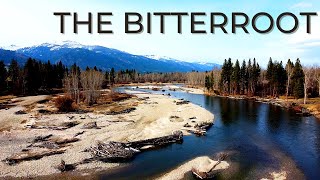 EPIC Fly Fishing on the Bitterroot River [upl. by Pelagi]