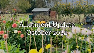 Allotment Update October 2024 Allotment Diary Allotment Gardening [upl. by Wootten]