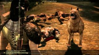 DAO Nightmare HD  The Dog [upl. by Enilrad]