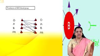 Lecture 3 IMMUNOHEMATOLOGY [upl. by Rorrys]