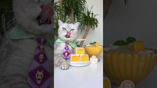 Summer Dessert🤩 Coconut Milk Mango RollUps🥥🥭 catsofyoutube foodlover tiktok [upl. by Rosina]