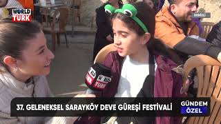 37 Geleneksel Sarayköy Deve Güreşi Festivali [upl. by Derdle]