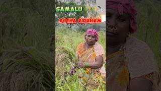 Samalu Kothaluu 🌾🍲😋 ytshort vlog shorts short [upl. by Eiralam]