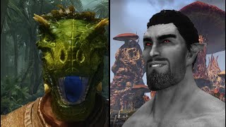 Average Argonian Fan vs Average Dunmer Enjoyer [upl. by Pedrotti]