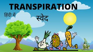 Transpirationआसान हिंदी में Explanation in hindi language  BiologyCBSENcertScience terms [upl. by Nalro]