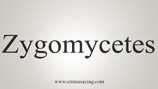 How To Say Zygomycetes [upl. by Nilyam]