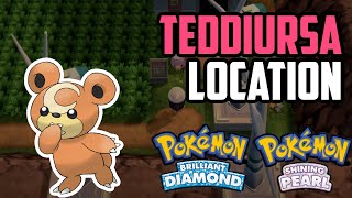 How to Catch Teddiursa  Pokémon Brilliant Diamond amp Shining Pearl [upl. by Mcgrody418]