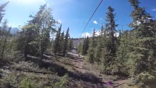 Zipline Matanuska Glacier Alaska [upl. by Ethelin151]