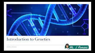 Lesson Video  Introduction to Genetics [upl. by Eniotna]