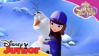 Sofia the First The Secret Library  A Snowmans Advise  Official Disney Junior Africa [upl. by Ehling]