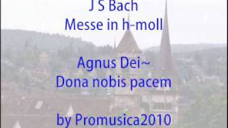 J S Bach  Messe in hmoll Agnus DeiDona nobis Overdub ロ短調ミサ より [upl. by Eenehs]