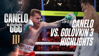 12 ROUND MASTERCLASS  Canelo Alvarez vs Gennadiy GGG Golovkin 3 Fight Highlights [upl. by Jezabel894]