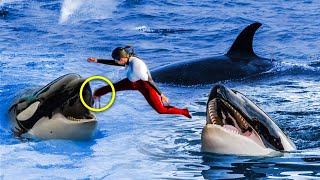 The Tragic Untold Story of Trainer Keltie Byrne Ravaged By Orcas [upl. by Norby]