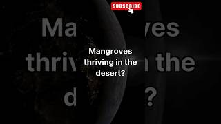 Irans Hara Forests Mangroves in the Desert 🌍 shorts facts learning [upl. by Jorgensen]