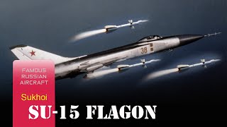 Su15 Flagon  Born To Confront The B52 But Was A Nightmare For Civilian Airliners [upl. by Eiramadnil]