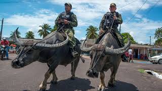 BUFFALO SOLDIERS MARAJO [upl. by Terena94]