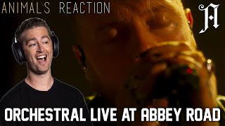 Architects  quotAnimalsquot Orchestral Version  Live at Abbey Road REACTION  Aus Bass Player Reacts [upl. by Averell]