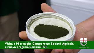 PSR Liguria Visita in azienda  Microalghe Camporosso Società agricola [upl. by Lorianne]