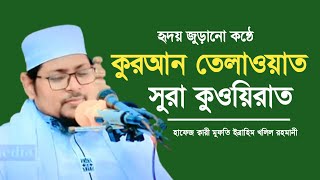 হৃদয় জুড়ানো কন্ঠে কুরআন তেলাওয়াত।হাফেজ ক্বারী মুফতি ইব্রাহিম খলিল রহমানী। [upl. by Lesna196]