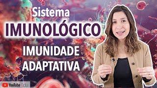 Imunidade Adaptativa Sistema Imunológico  Anatomia etc [upl. by Enehs]