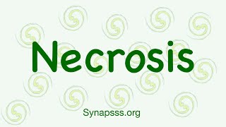 Necrosis definition morphology nuclear changes mechanisms types [upl. by Sumetra489]