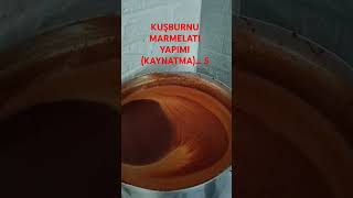 KUŞBURNU MARMELATI YAPİMİ KAYNATMA 5 [upl. by Hanahs]