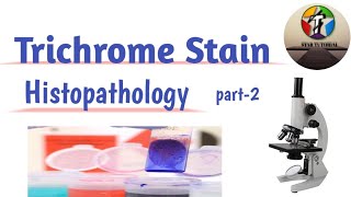 Trichrome Stain ll Staining Methods to Demonstrate Special or specific tissues ll Histology [upl. by Nasaj13]