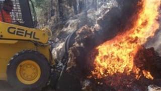 Tree Felling Techniques Huge Tree Cutting Down big Trees Bushfires australia tree video [upl. by Ainola243]