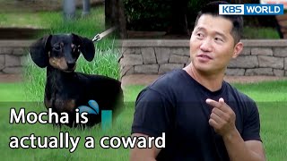 Mocha is actually a coward Dogs are incredible  EP1376  KBS WORLD TV 220830 [upl. by Concha434]