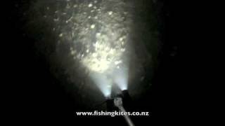 Spearing Flounder at Whangarei [upl. by Darian]