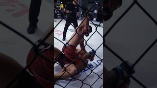 Arlind Berisha SMASHES opponent with ELBOWS 😱 [upl. by Airrotal959]