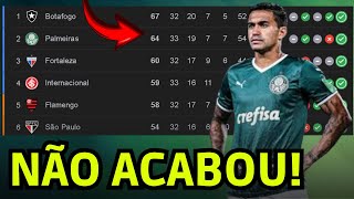 O PALMEIRAS VAI BUSCAR O TÍTULO DO BRASILEIRÃO [upl. by Betty872]