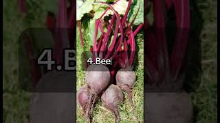 Winter vegetables shorts agriculture vegetables [upl. by Alyssa]