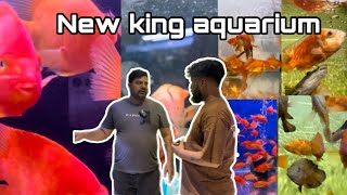 New king aquarium bangalore karnataka kannadiga comedy fish aquarium fishing fishingvideo [upl. by Jesse692]