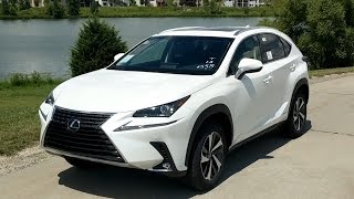 2019 Lexus NX 300h Review  Hybrid BETTER than Turbo 4 [upl. by Aikemat]