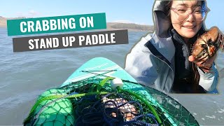 Solo crabbing trip on SUP first timer edition [upl. by Alexandro521]