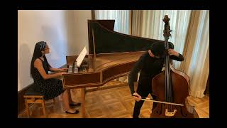 Sperger Concerto 2 Original Version D Major mov 1 Kadenza ABIP BASS [upl. by Halsy901]