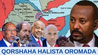 HALIS AFARTA QORSHE EE OROMADU KU QABSANAYSO JABUUTI SOMALILAND amp KOONFURTA SOOMAALIYA  WARAYSI [upl. by Towne]