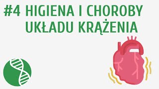 Higiena i choroby układu krążenia 4  Krążenie [upl. by Ahseia]