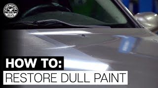 How To Make DULL Paint Shine Oxidation  Chemical Guys [upl. by Ingamar]