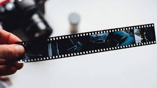 35mm Film Photography [upl. by Aicertap804]