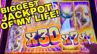 OMG BIGGEST JACKPOT ON YOUTUBE ON BUFFALO CHEIF PLAT UNBELIEVABLE MY BIGGEST JACKPOT EVER [upl. by Eulaliah]