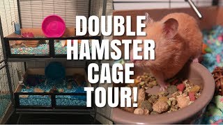 HAMSTER CAGE TOURS  Critter Nation Hamster Cages [upl. by Cyler]